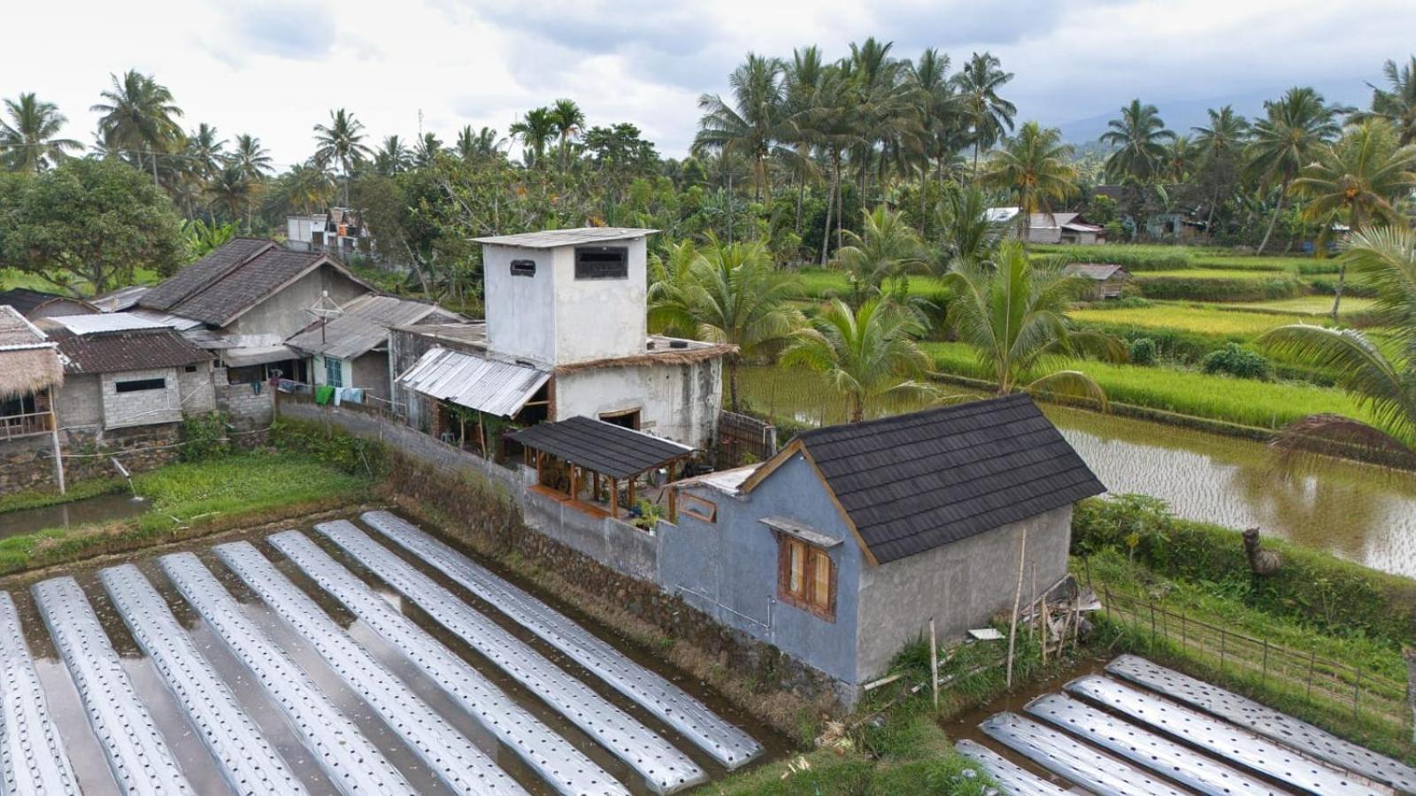 Dira Bungalows Tetebatu Habitación foto